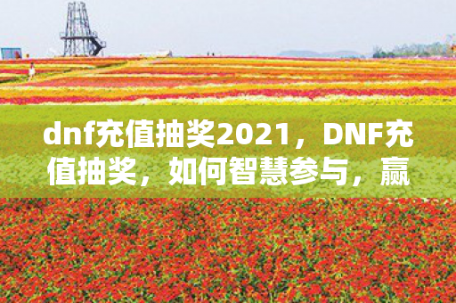 dnf充值抽奖2021，DNF充值抽奖，如何智慧参与，赢取丰厚奖励？