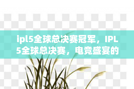 ipl5全球总决赛冠军,IPL5全球总决赛,电竞盛宴的激情与荣耀 ipl5全球总决赛冠军,IPL5全球总决赛,电竞盛宴的激情与荣耀