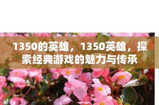 1350的英雄，1350英雄，探索经典游戏的魅力与传承