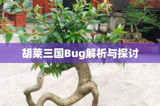 胡莱三国Bug解析与探讨 胡莱三国Bug解析与探讨