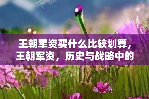 王朝军资买什么比较划算，王朝军资，历史与战略中的军事资源积累