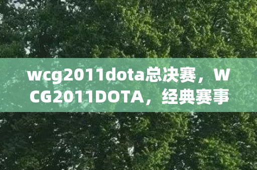 wcg2011dota总决赛，WCG2011DOTA，经典赛事的辉煌与传承