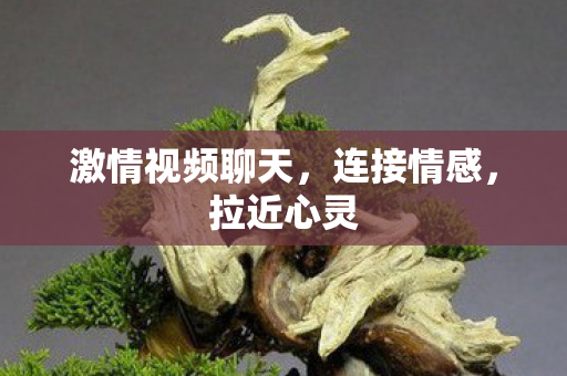 激情视频聊天,连接情感,拉近心灵 激情视频聊天,连接情感,拉近心灵