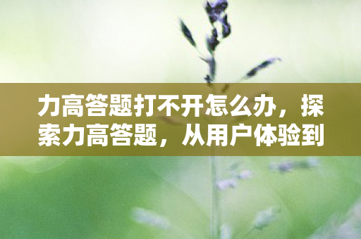 力高答题打不开怎么办，探索力高答题，从用户体验到技术创新的深度剖析