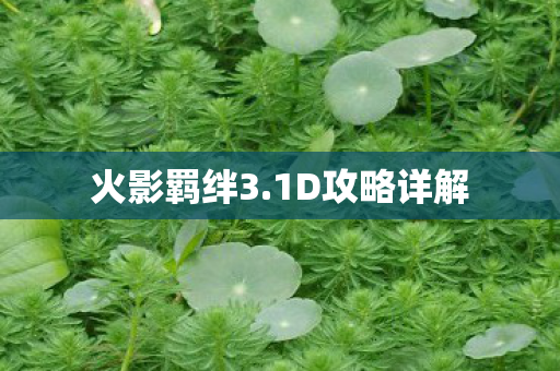 火影羁绊3.1D攻略详解 火影羁绊3.1D攻略详解