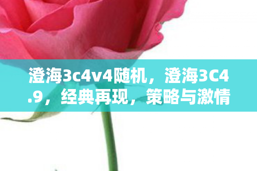 澄海3c4v4随机，澄海3C4.9，经典再现，策略与激情的碰撞