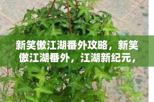 新笑傲江湖番外攻略，新笑傲江湖番外，江湖新纪元，群雄逐鹿