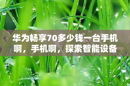 华为畅享70多少钱一台手机啊，手机啊，探索智能设备背后的科技与创新