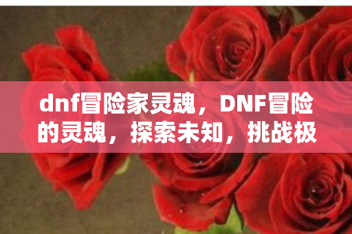 dnf冒险家灵魂，DNF冒险的灵魂，探索未知，挑战极限