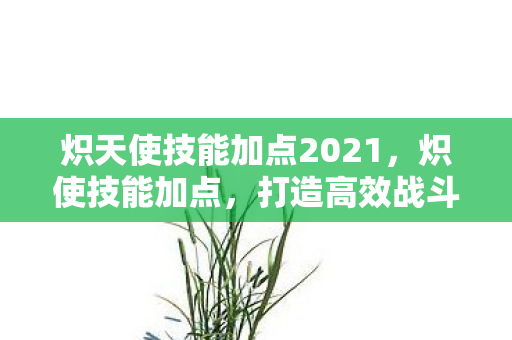 炽天使技能加点2021，炽使技能加点，打造高效战斗力的关键