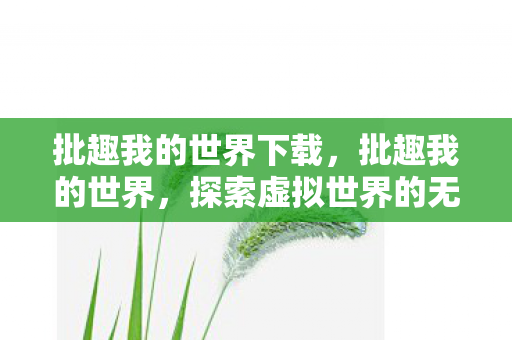 批趣我的世界下载，批趣我的世界，探索虚拟世界的无限可能