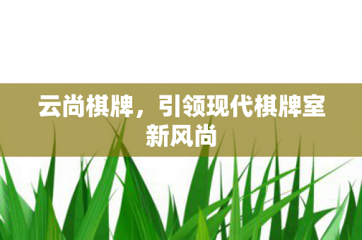 云尚棋牌,引领现代棋牌室新风尚 云尚棋牌,引领现代棋牌室新风尚