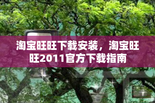 淘宝旺旺下载安装，淘宝旺旺2011官方下载指南