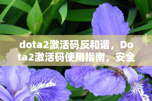 dota2激活码反和谐，Dota2激活码使用指南，安全、合法地享受游戏