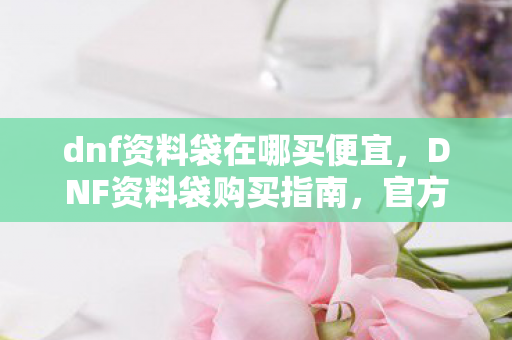 dnf资料袋在哪买便宜，DNF资料袋购买指南，官方渠道与实用建议