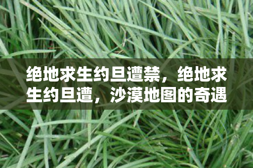 绝地求生约旦遭禁，绝地求生约旦遭，沙漠地图的奇遇与挑战