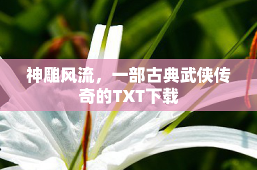 神雕风流，一部古典武侠传奇的TXT下载