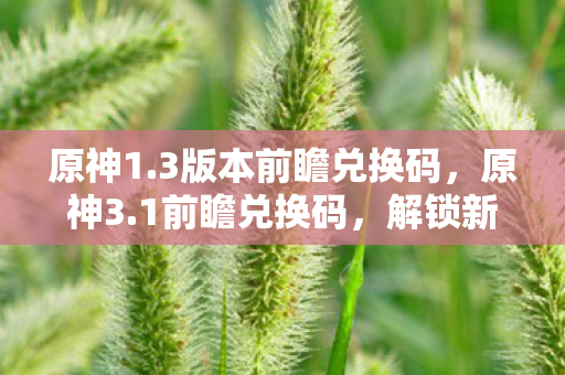 原神1.3版本前瞻兑换码，原神3.1前瞻兑换码，解锁新世界的钥匙