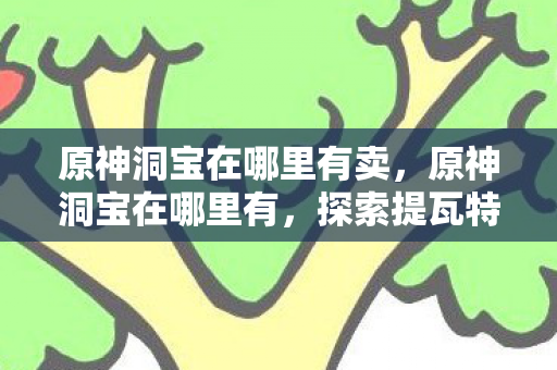 原神洞宝在哪里有卖，原神洞宝在哪里有，探索提瓦特大陆的神秘宝藏