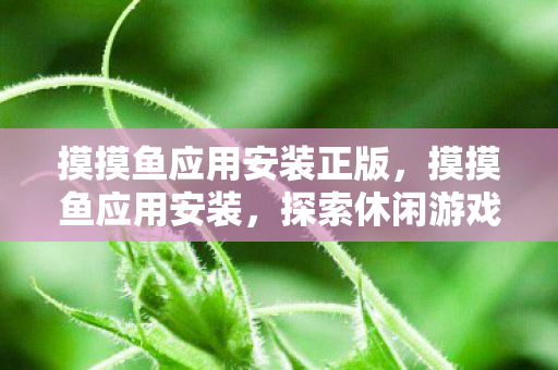 摸摸鱼应用安装正版,摸摸鱼应用安装,探索休闲游戏的便捷入口 摸摸鱼应用安装正版,摸摸鱼应用安装,探索休闲游戏的便捷入口