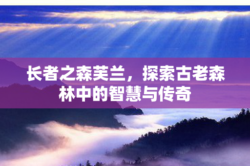 长者之森芙兰,探索古老森林中的智慧与传奇 长者之森芙兰,探索古老森林中的智慧与传奇