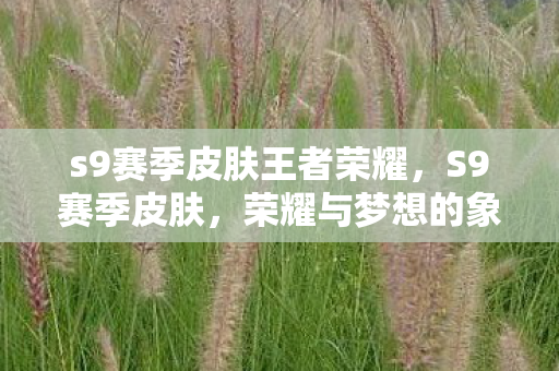 s9赛季皮肤王者荣耀,S9赛季皮肤,荣耀与梦想的象征 s9赛季皮肤王者荣耀,S9赛季皮肤,荣耀与梦想的象征
