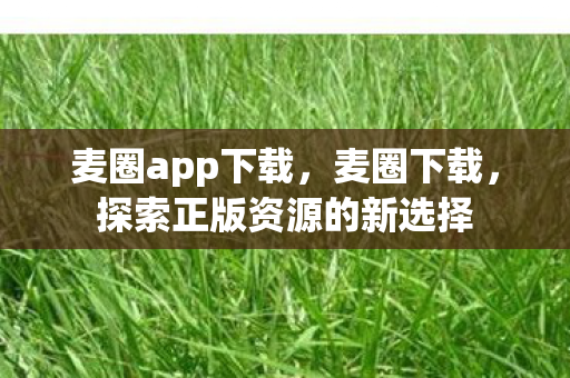麦圈app下载，麦圈下载，探索正版资源的新选择