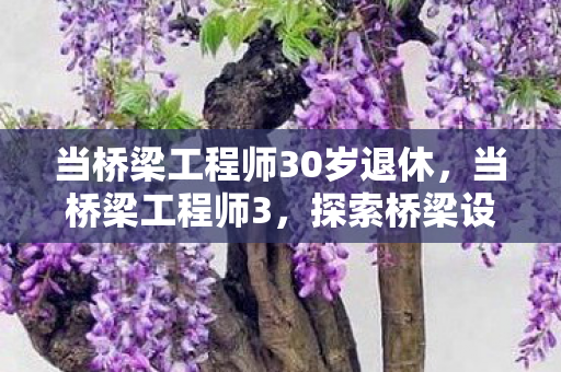 当桥梁工程师30岁退休，当桥梁工程师3，探索桥梁设计的无限可能