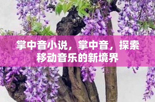 掌中音小说，掌中音，探索移动音乐的新境界