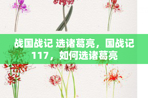 战国战记 选诸葛亮，国战记117，如何选诸葛亮