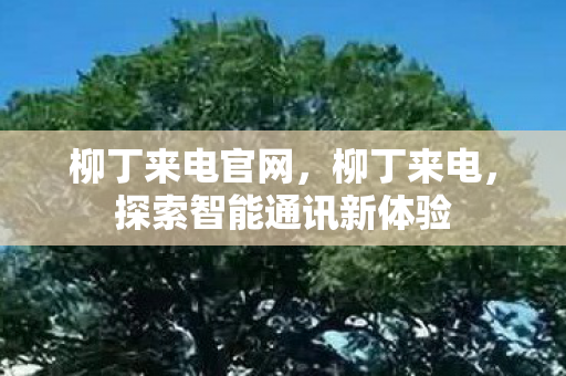 柳丁来电官网，柳丁来电，探索智能通讯新体验