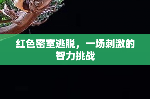 红色密室逃脱，一场刺激的智力挑战