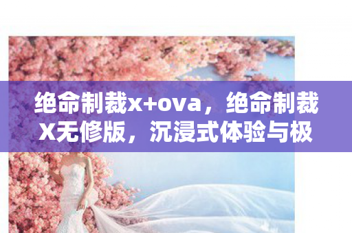 绝命制裁x+ova，绝命制裁X无修版，沉浸式体验与极致战斗快感