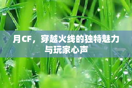 月CF，穿越火线的独特魅力与玩家心声