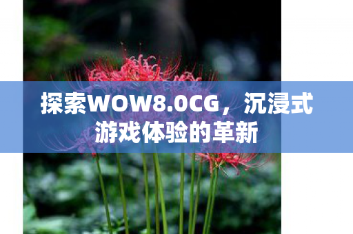 探索WOW8.0CG，沉浸式游戏体验的革新