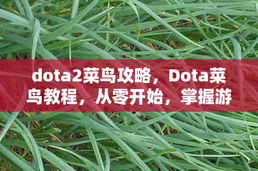 dota2菜鸟攻略，Dota菜鸟教程，从零开始，掌握游戏基础