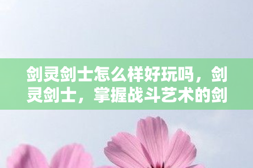 剑灵剑士怎么样好玩吗，剑灵剑士，掌握战斗艺术的剑士之路