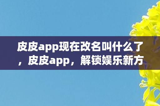 皮皮app现在改名叫什么了，皮皮app，解锁娱乐新方式，打造个性化互动体验
