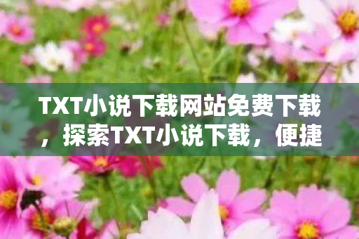 TXT小说下载网站免费下载，探索TXT小说下载，便捷、多样与阅读新体验
