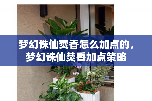 梦幻诛仙焚香怎么加点的，梦幻诛仙焚香加点策略