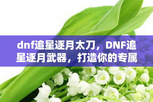 dnf追星逐月太刀，DNF追星逐月武器，打造你的专属传奇