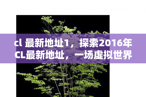 cl 最新地址1，探索2016年CL最新地址，一场虚拟世界的奇妙之旅