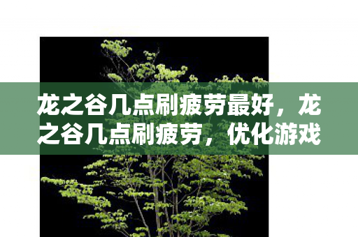 龙之谷几点刷疲劳最好，龙之谷几点刷疲劳，优化游戏体验的小技巧
