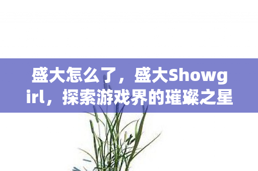 盛大怎么了,盛大Showgirl,探索游戏界的璀璨之星 盛大怎么了,盛大Showgirl,探索游戏界的璀璨之星