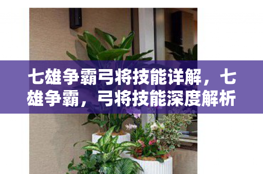 七雄争霸弓将技能详解，七雄争霸，弓将技能深度解析—箭雨风雷