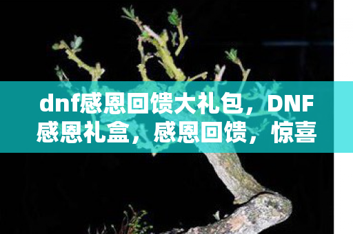 dnf感恩回馈大礼包，DNF感恩礼盒，感恩回馈，惊喜连连