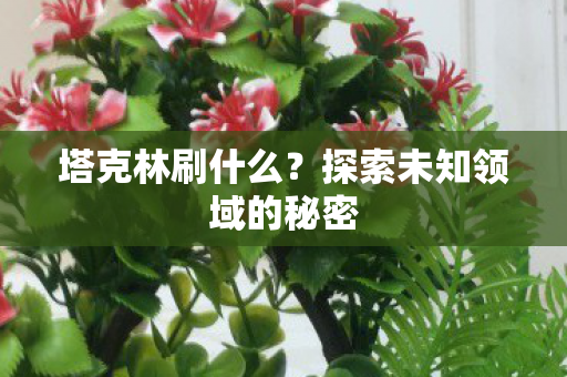 塔克林刷什么？探索未知领域的秘密