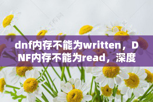 dnf内存不能为written，DNF内存不能为read，深度解析游戏异常与解决方案