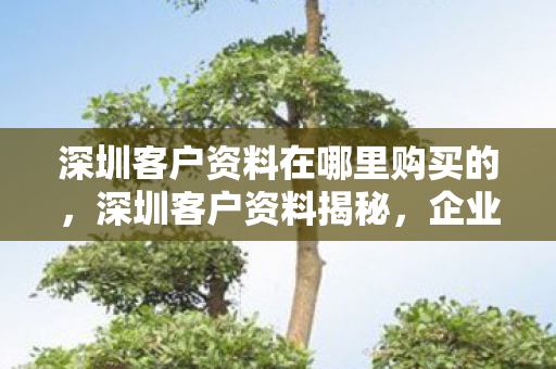 深圳客户资料在哪里购买的，深圳客户资料揭秘，企业数据安全的隐忧与应对