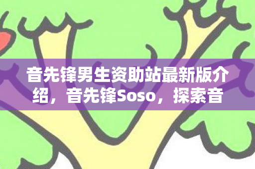 音先锋男生资助站最新版介绍，音先锋Soso，探索音乐世界的无限可能
